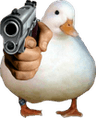 meme_duckshoot