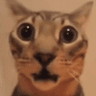 emoji_176