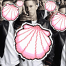 takemyshells