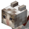 sad_minecraft_cat