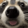 erf_zoom