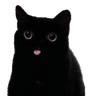 emoji_392