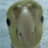 emoji_395