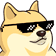 Doge_Cool_56px