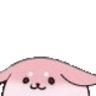 FoxPeekFRI