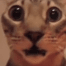 emoji_33