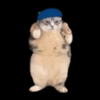 7690animiertedancecat