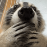 erf_shocked