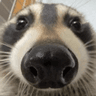 erf_nose