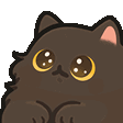 cat6_pop2
