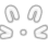 NC_Bunny