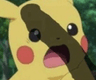pika_pp3