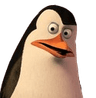 kowalski_huhremovebgpreview