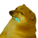 Doge_Kill