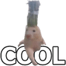Cool