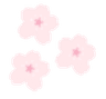 Sakura_flowers