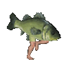 CourageFish