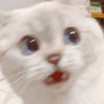 6173surprised