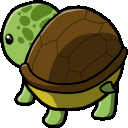 turtlebuttDNS