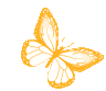 2234dobutterfly