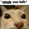 steals_your_balls