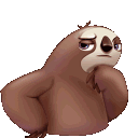 sloth_confused