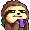 sloth_sipstare