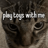 PlayToysWMe