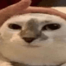emoji_47
