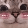 3_