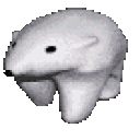 NM_PolarBear