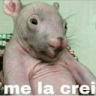 melakreiwexd