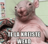 telakreistewexd