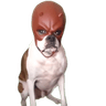 daredevildog