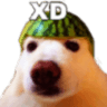 XD