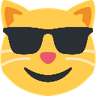 7383sunglassescat