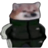 vidya