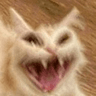 internalscreams