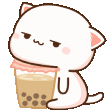 nyaBoba3