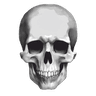1015skull