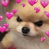 dogemadlove