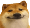 57049dogesmile