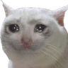 m_sadcat