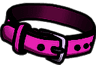 TM_Xbrightcollar