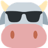 suncow