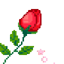 ko_rose_red