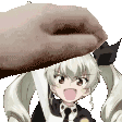 chovy