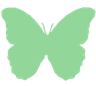 green_butterfly1