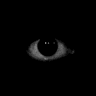 LookingAtYou