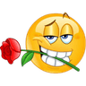 63407yellowemoijromantic